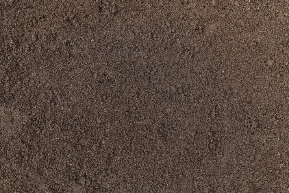 terre-vegetale-crible 2